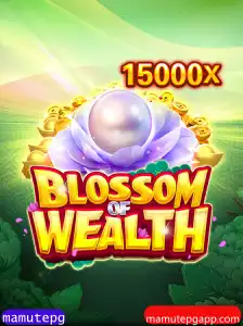 Explorando o Universo de BlossomofWealth: Um Guia Completo